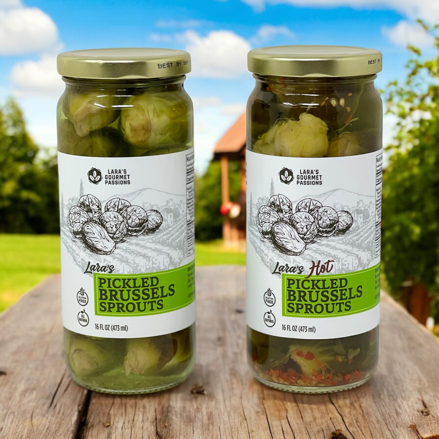 Lara’s Pickled Brussels Sprouts – Classic Tangy Flavor in a 16oz Jar